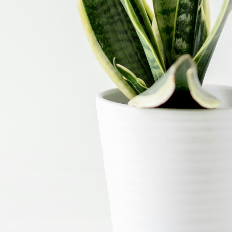 画像1: チョコレートアソート